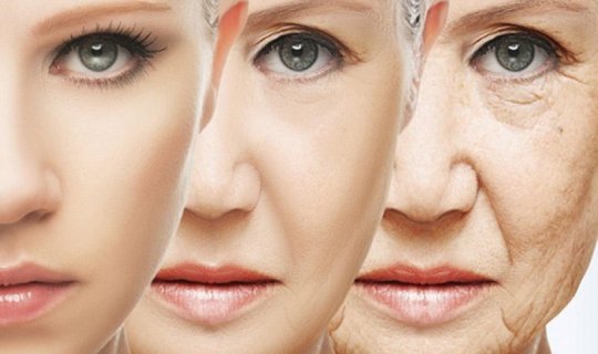 Alimlərin qocalma prosesi barədə İNANILMAZ KƏŞFİ
