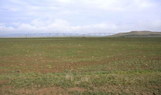 Cəbrayıl torpaqları yenidən canlanır - FOTO/VİDEO