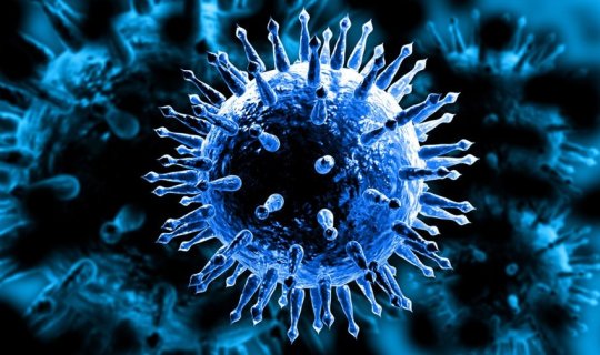 Koronavirus beyinə necə təsir edir?