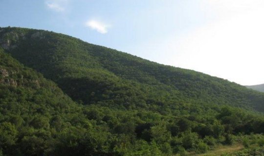 İşğaldan azad edilmiş ərazilərdəki qoruqların sahəsi açıqlandı - RƏSMİ