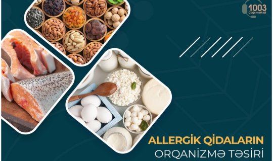 Allergik qidaların orqanizmə təsiri - MƏQALƏ