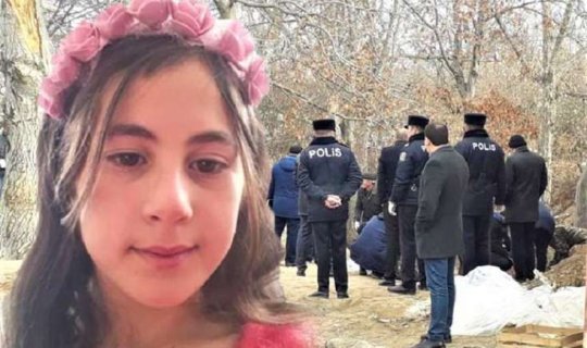 Nərmini qətlə yetirməkdə təqsirləndirilən şəxsin məhkəməsi başlayıb