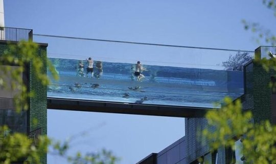 Dünyada bir ilk! Bu hovuzda üzmək cəsarət istəyir - FOTOLAR