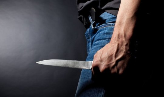 İribuynuzlu heyvanın vurduğunu dedi, bıçaqlandığı məlum oldu
