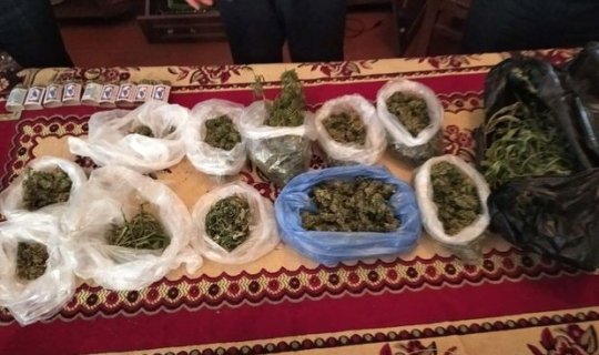 Narkotik maddə becərən şəxslər tutuldu - FOTO