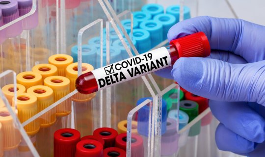 “Delta” ştammından qorunmağın yeganə yolu vaksinasiyadır - Baş İnfeksionist