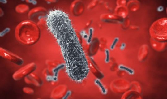 Hepatit nədir və necə yaranır? - SƏBƏBLƏR
