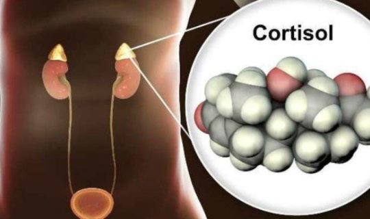 Stress hormonu: Kortizol - çox xəstəliklərin səbəbkarı - Necə idarə edək?