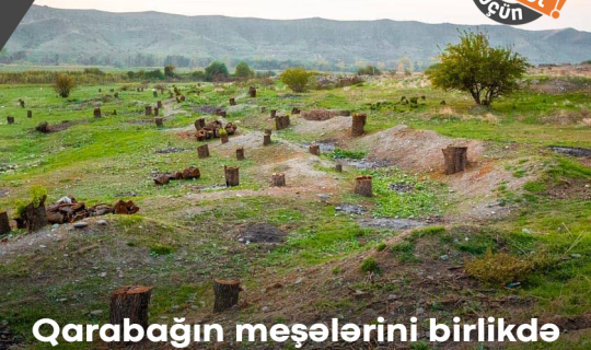 Ermənilərin Qarabağdakı meşə terroru: 54 min hektar məhv edilib