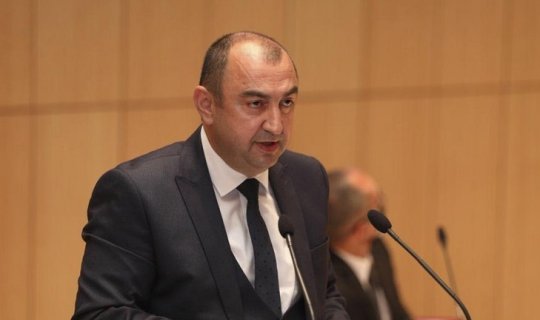 Ermənilər Zəngilanda qədim Şərq çinarlarını kəsərək məhv ediblər