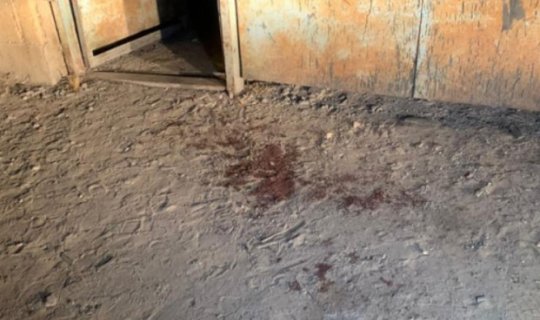 Bakıda iki qardaş bıçaqlandı: Ətrafdan kömək istəyiblər... - VİDEO