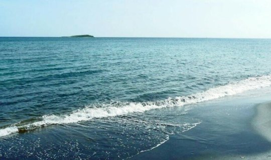 15 milyon il əvvəl Xəzər dənizində... - İlginc araşdırma - FOTO