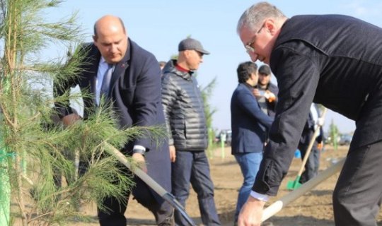 Prezidentin xüsusi nümayəndəsi Ağdamda ağac əkib - FOTO