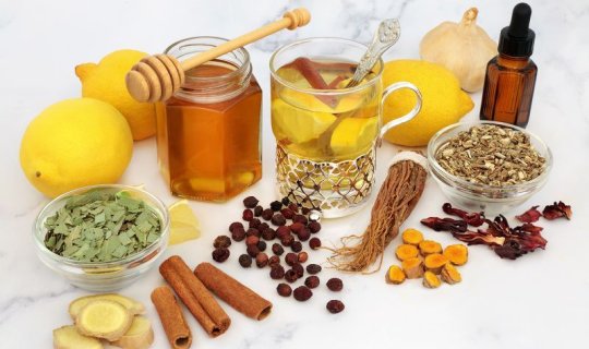 İmmuniteti möhkəmlədən təbii immunmodulyatorlar- Qış üçün SİYAHI