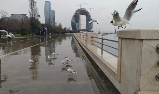 Yağıntılı hava şəraiti nə vaxta qədər davam edəcək?