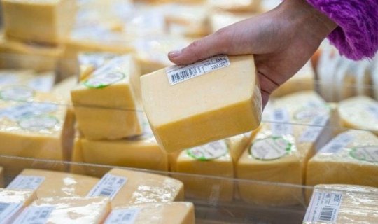 Saxta pendirlə keyfiyətli pendiri necə ayırd edək?