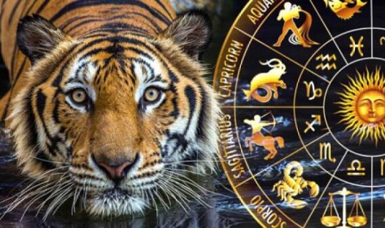 2022 üçün astroloji proqnoz – Bürcləri nələr gözləyir?
