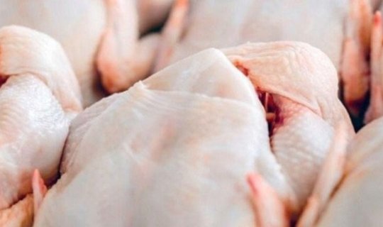 Broyler toyuqları ilə bağlı gizli araşdırma - Yeni təhlükələr