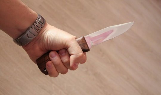 “Qaynım gəlinimin yanında lüt gəzirdi” - Bakıda bağ evində olay