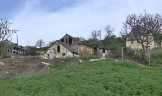 Ərini söyüb işlədən arvad: bıçaqladı, 