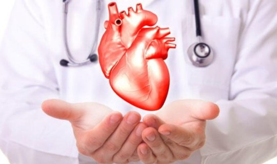 Ürəyimiz ömür boyu neçə litr qan qovur? - Ürəklə bağlı sirli rəqəmlər