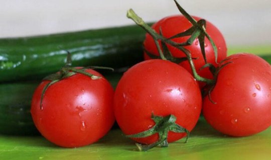 Pomidorla xiyarı birlikdə yemək olmaz – SƏBƏB