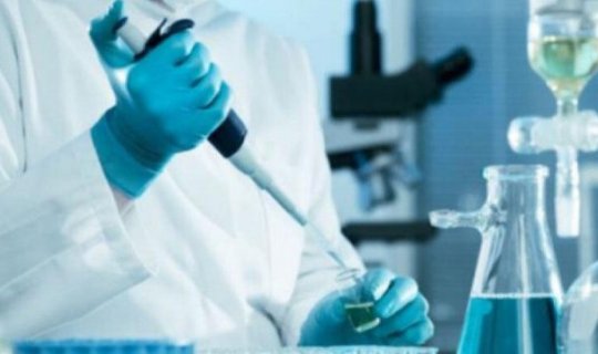 Tədqiqatçılar: insan orqanları müxtəlif sürətlə qocalır