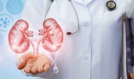 Böyrək daşını təmizləyən sadə üsul