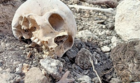 Fərruxda aşkarlanan meyit qalıqları ekshumasiya edilib