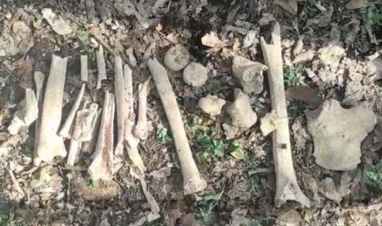 Fərrux kəndində daha bir neçə azərbaycanlının meyitlərinin qalıqları tapılıb - FOTO/VİDEO