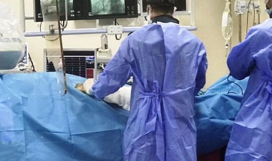 Xəstəyə inəyin ürək klapanları insana köçürüldü - Elmdə ilk