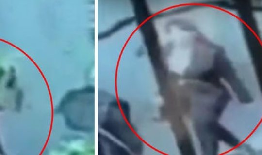 Bakıda 15 yaşlı oğlanın anasını qətlə yetirməsinin görüntüləri - ANBAAN VİDEO