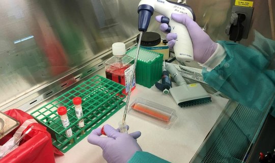 Uşaqlar naməlum hepatit növünə yoluxur