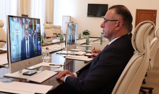 Azərbaycanın sədrliyi ilə Qoşulmama Hərəkatıxa0ölkələrixa0səhiyyə nazirlərinin görüşü keçirilib
