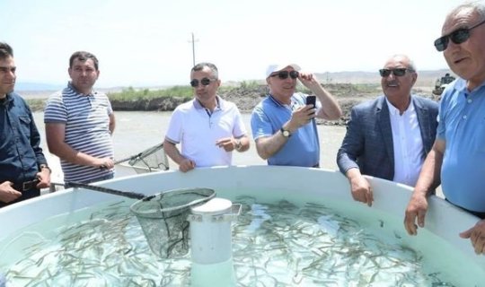 Siyasi partiya sədrləri Həkəri çayına balıq buraxdılar - YENİLƏNİB + FOTO