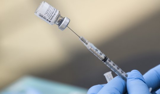 Peyvənd olunanların sayı açıqlandı