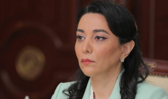 Ombudsmandan Ermənistanın terror aktı ilə bağlı beynəlxalq təşkilatlara MÜRACİƏT