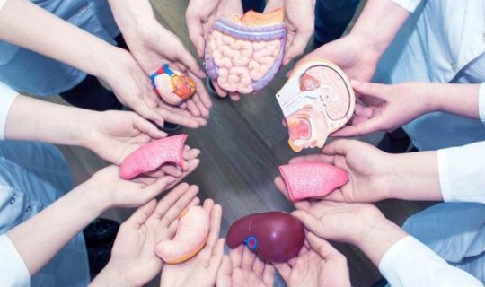 Azərbaycanda “Orqan Donorluğu və Transplantasiyası üzrə Koordinasiya Mərkəzi” yaradılıb