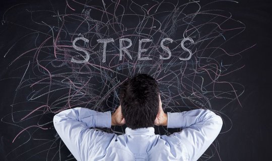 Stress hormonunu necə azaltmaq olar? - 3 tövsiyə