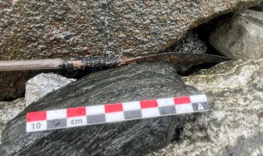 Arxeoloqlar 1500 illik ox tapdılar