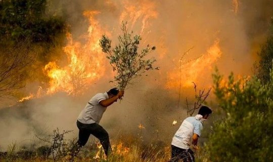 Meşə yanğınları bu xəstəliklərə səbəb ola bilər - Həkimdən tövsiyə
