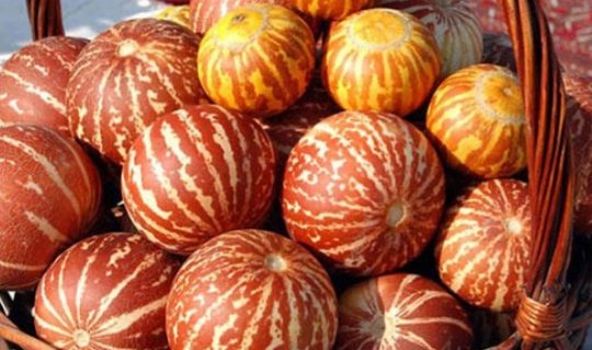 Dadına görə yeyilmir, amma faydası çoxdur