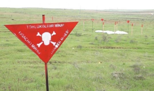 Azad olunan ərazilərdə daha 69 mina aşkarlanıb