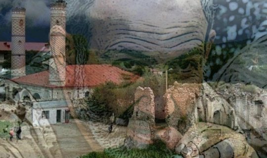 Nikol xilas üçün 