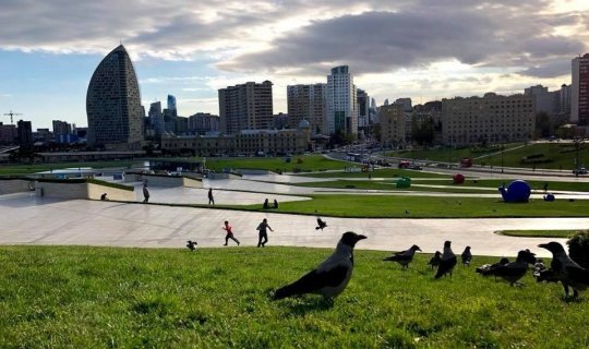 Sabahın hava proqnozu açıqlandı