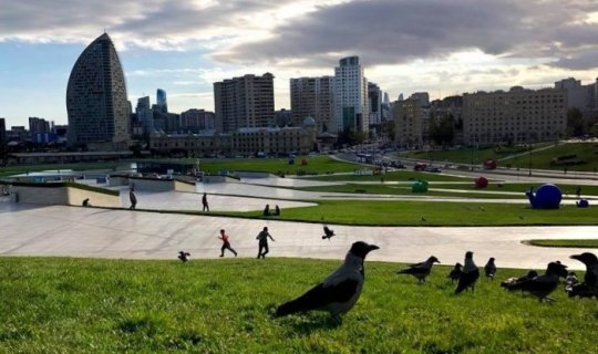 Sabahın hava proqnozu açıqlandı