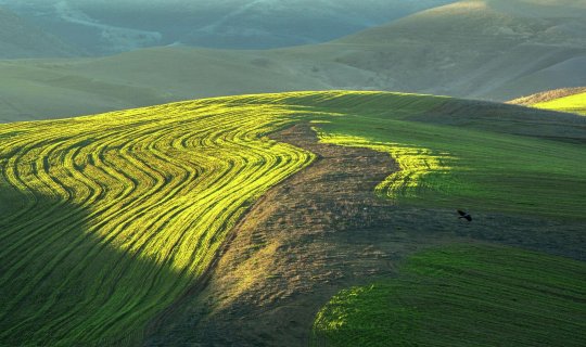 Sabahın hava proqnozu açıqlandı