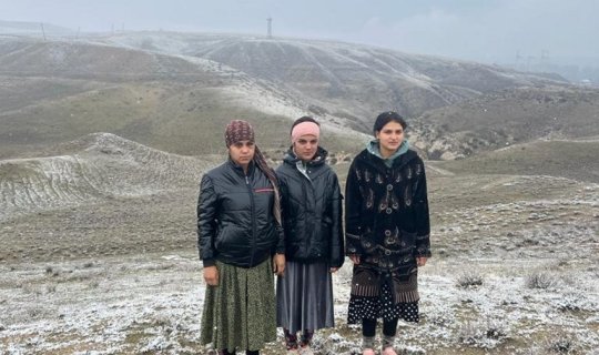 Gürcüstan istiqamətində sərhədi pozmağa cəhd edən 3 nəfər saxlanılıb - FOTO