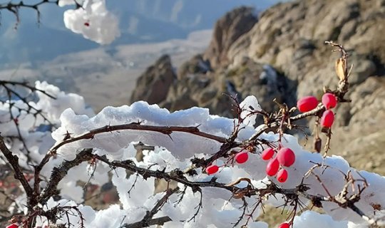 Şuşa, Kəlbəcər və Laçın üçün hava proqnozu açıqlanıb