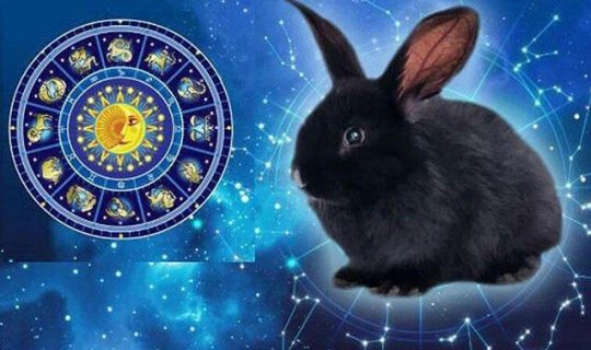 Dovşan ilinin xüsusiyyətləri hansılardır? - Sakit, zərif, yoxsa...